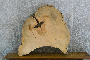 Reclaimed Round Cut Locust Live Edge Coffee Table Top 20739